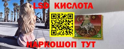 ПСИЛОЦИБИНОВЫЕ ГРИБЫ Берёзовский