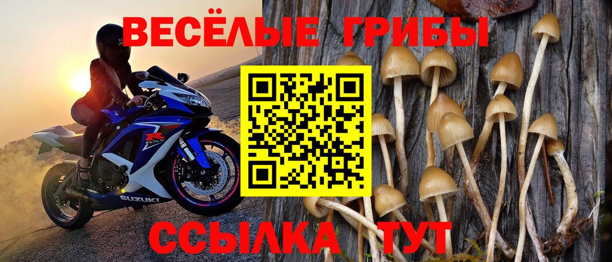 Псилоцибиновые грибы мухоморы Изобильный