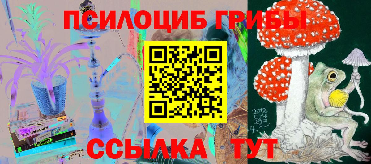 Изобильный  Псилоцибиновые грибы Psilocybine cubensis  дарнет шоп  Галлюциногенные грибы Cubensis  Вход с VPN 